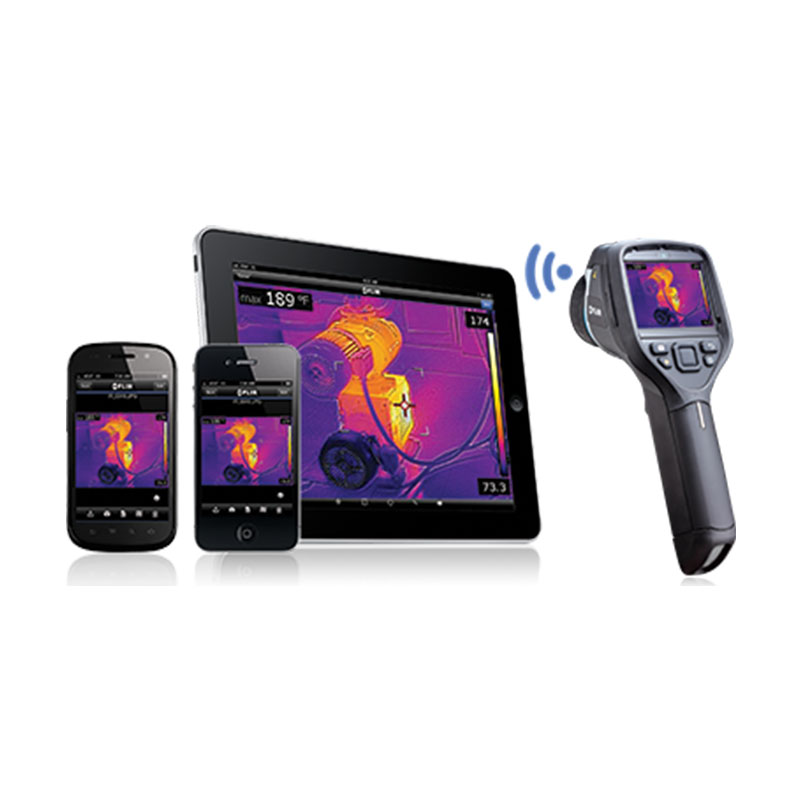 FLIR E60